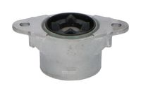 Veerpoot SSM10043