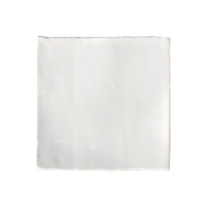 Terre d&apos;Azur Porto Tegel 10x10cm Grijs F155