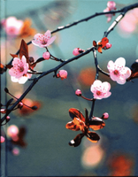 Notitieboek Cherry Blossom
