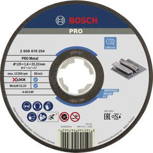 Bosch Accessories Bosch Power Tools 2608619254 Doorslijpschijf recht 125 mm 1 stuk(s) Metaal