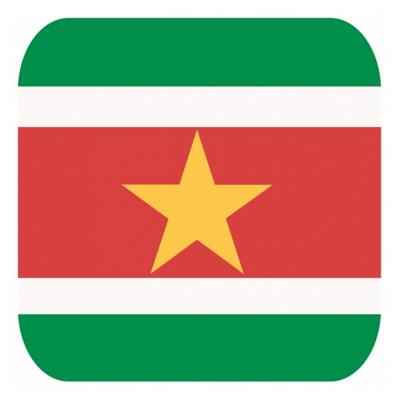 Bierviltjes Suriname - 15x stuks - vierkant - landen thema - 9x9 cm