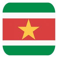 Bierviltjes Suriname - 15x stuks - vierkant - landen thema - 9x9 cm