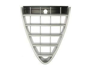 Sier- / Beschermingspaneel, radiateurgrille 6502070109992P