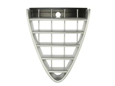Sier- / Beschermingspaneel, radiateurgrille 6502070109992P