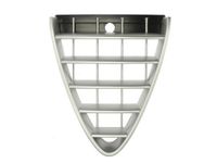 Sier- / Beschermingspaneel, radiateurgrille 6502070109992P