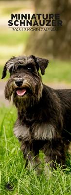 Miniatuur Schnauzer Slimline Kalender 2026 Miniatuur Schnauzer Slimline Kalender 2026