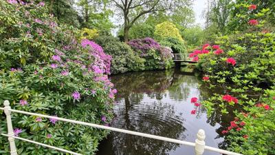Tuinschilderij bloemenvijver 70x50 - Customize it