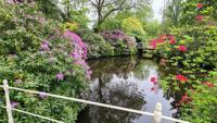 Tuinschilderij bloemenvijver 70x50 - Customize it