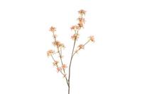 Decostar zijdebloem Malus 111 cm zalm