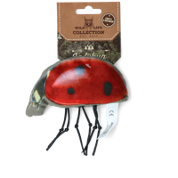 Wild Life Cat Lieveheersbeestje