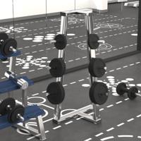 Halterschijven 6 st 30 kg gietijzer