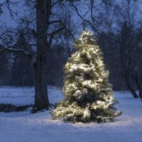 Konstsmide Clusterverlichting voor binnen en buiten - 8 functies - 1152 LEDs - 2100K Amber - 8,6 meter - Kerstverlichting - IP44 - Incl. Transformator Konstsmide Clusterverlichting voor binnen en buiten - 8 functies - 1152 LEDs - 2100K Amber - 8,6 meter - Kerstverlichting - IP44 - Incl. Transformator