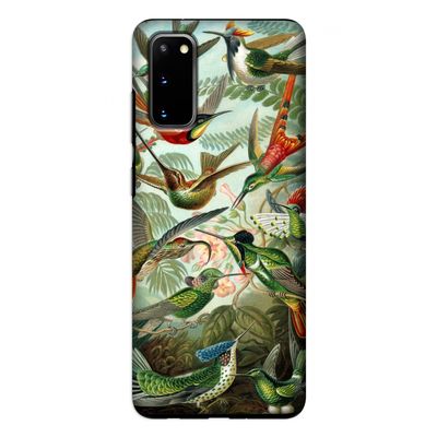 Haeckel Trochilidae: Samsung Galaxy S20 Tough Case Haeckel Trochilidae: Samsung Galaxy S20 Tough Case