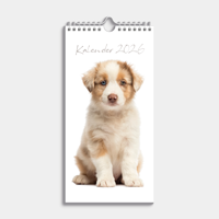Honden Mini Kalender 2026
