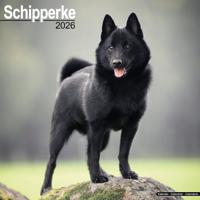 Schipperke Kalender 2026