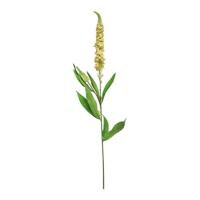 Kunst Veronica spray peach - 76 cm Kunstbloemen Erutan Avon - Erutan avon