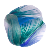 Moooi Carpets - Vloerkleed Shell Blue Wool -