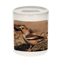 Dieren foto spaarpot appelvink vogel 9 cm - vogels spaarpotten jongens en meisjes