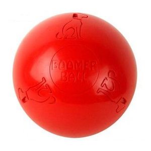 Company of Animals Boomer Ball - 10 inch (25 cm)