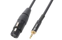 PD Connex 3.5mm mini jack Stereo - XLR Female kabel 0.5 meter - thumbnail