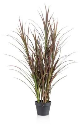 Gras buitenplant h115cm bordeaux - Emerald