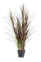 Gras buitenplant h115cm bordeaux - Emerald