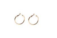 Go Dutch Label Ronde Buis Creolen 2.5 Cm Goud