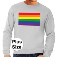 Grote maten regenboog vlag sweater grijs voor heren - thumbnail