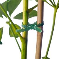 Bindband met rattenstaartsluiting 25m Nature - Nature