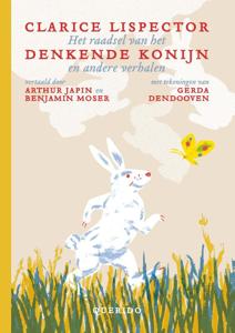 Het raadsel van het denkende konijn en andere verhalen (Hardback)