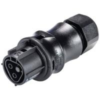 Wieland 96.021.4053.1 Ronde connector Koppeling, recht Totaal aantal polen: 2 Serie (ronde connectors): RST® CLASSIC 1 stuk(s)