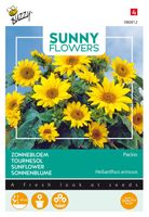 Sunny flowers pacino gold - Buzzy - thumbnail