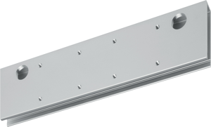 ASSA ABLOY DCA165 Montageplaat voor glasdeuren voor DC300 en DC310 | kleur zilver EV1. - 10037193