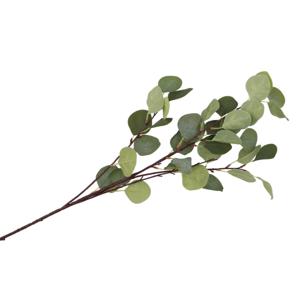 DK Design Kunstbloem Eucalyptus tak Real Touch - 90 cm - groen   -