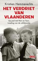 Het verdriet van Vlaanderen (Paperback)