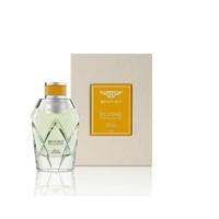Bentley Wild Vetiver Eau de Parfum 100ml
