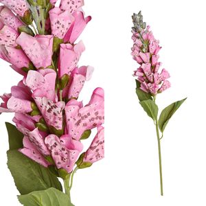 Ptmd garden bloem roze digitalis bloem