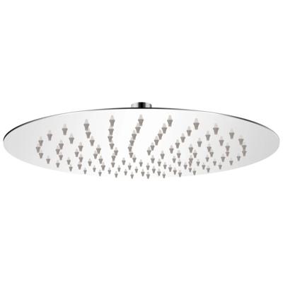 Regendouchekop rond 25 cm roestvrij staal