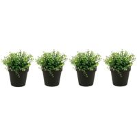 Kunstplant eucalyptus - Set van 4x stuks - groen - in zwart potje - 20 cm