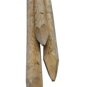 Perkoenpaal | Onbehandeld | D15 500 cm