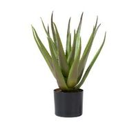 Kunstplant Aloe plante 50cm - thumbnail