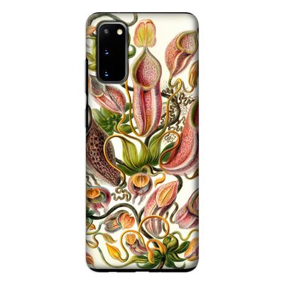 Haeckel Nepenthaceae: Samsung Galaxy S20 Tough Case
