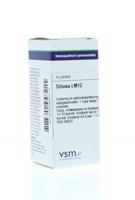 VSM Silicea LM12 4 Gram