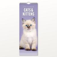 Katten en Kittens Slimline Kalender 2026