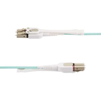 USB-kabel Startech 450FBLCLC10PP Water 10 m