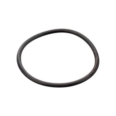 O-ring 17964