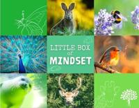 Little Box of Mindset (Kaartspellen) Little Box of Mindset (Kaartspellen)