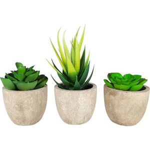 GreenDream® Kunstplanten - Kamerplanten - Nep planten - Vetplanten - 3 stuks - Kunstplant - Cadeautip