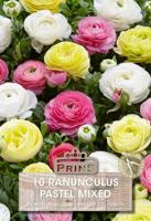 Prins Ranunculus mix 10 knollen pastel mix Prins Ranunculus mix 10 knollen pastel mix