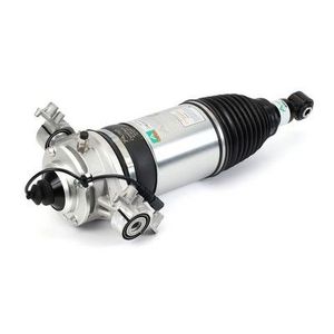 Pneumatische veerpoot AS3166
